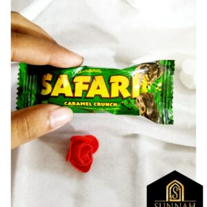 Chocolate  Safari